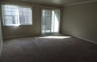 Studio, 1 bath, 360 sqft, $1,900, Unit 1207 Hopkins Street - Unit 9