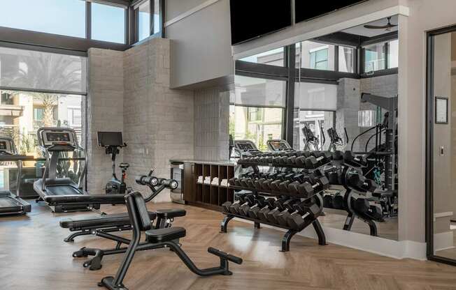 A gym with a variety of equipment including treadmills, stationary bikes, and weight machines.