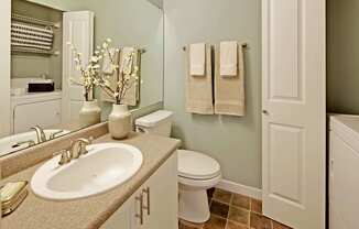 a bathroom with a sink and a toilet