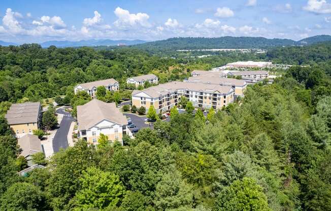 arial view of the property