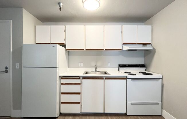 1 bed, 1 bath, 480 sqft, $1,395, Unit 213