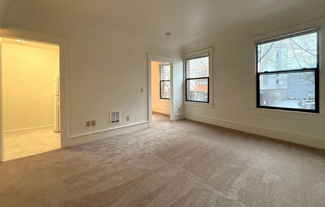 1 bed, 1 bath, 504 sqft, $1,425, Unit 207