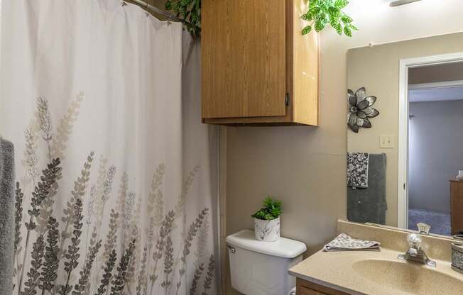 A bathroom with a toilet, sink, and a shower curtain with a plant on it.