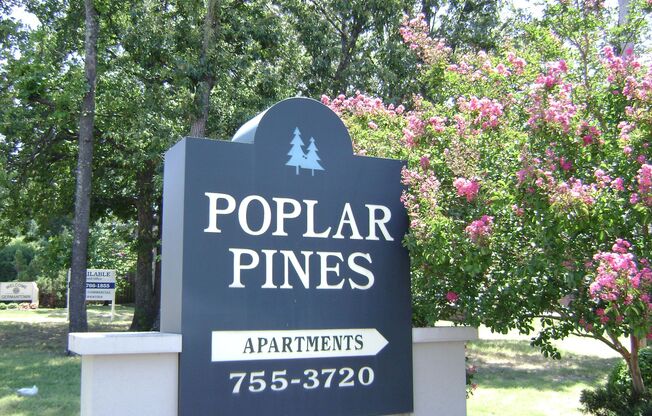 Poplar Pines