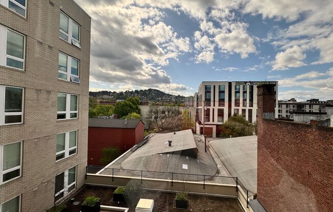Studio, 1 bath, 317 sqft, $1,035, Unit 417