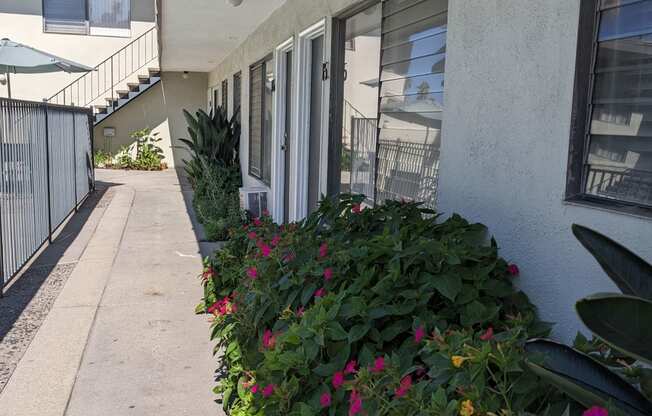 Flowering gardens along innear walkway to swimming pool and apartments at Los Robles in Pasadena, California.