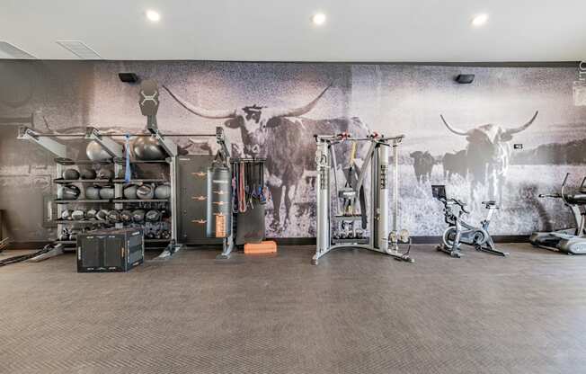 the home gym has a wall mural of a cow and weights and cardio equipment