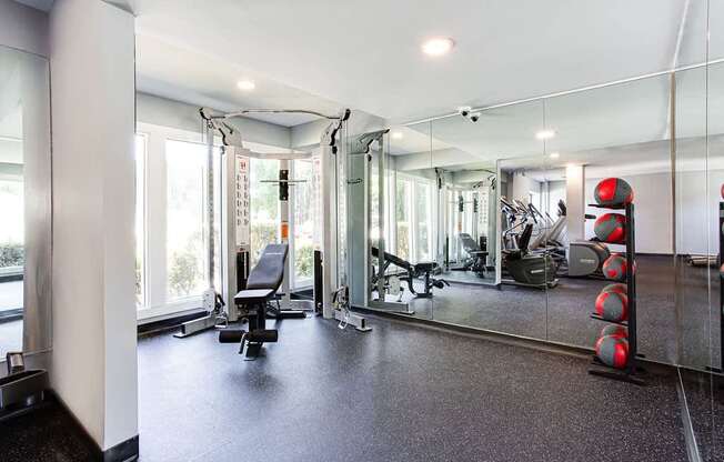 A gym with a row of red dumbbells on the right.