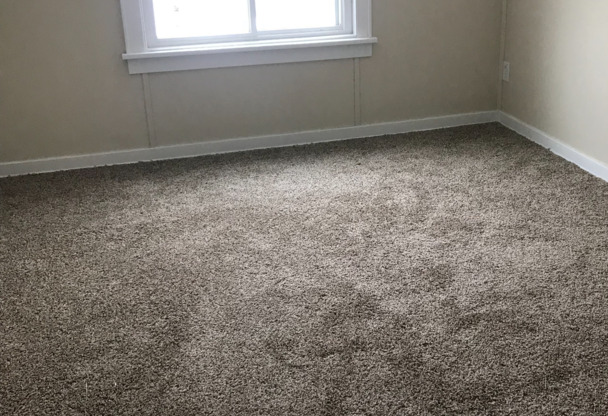 Amazing 5 Bedroom 2 Bathroom Home in St.Paul!