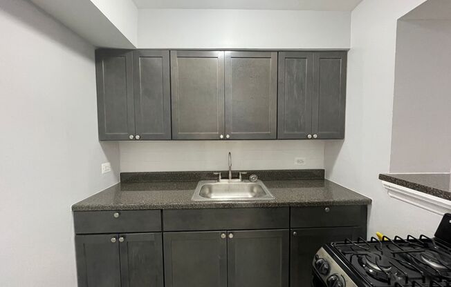 1 bed, 1 bath, 450 sqft, $1,295, Unit 217
