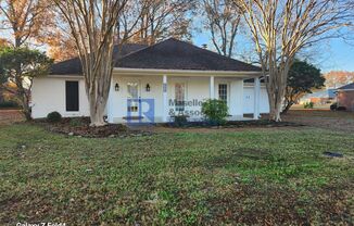 3 Bedroom/2 Bath home in Brandon Freshly Painted