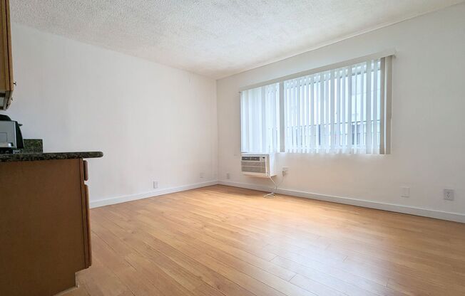 Studio, 1 bath, 263 sqft, $1,249, Unit 107