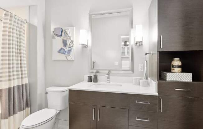 a bathroom with a sink and a toilet and a mirror