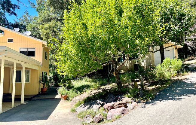 Unique private retreat in Occidental on six acres only 1/2 mile from downtown!