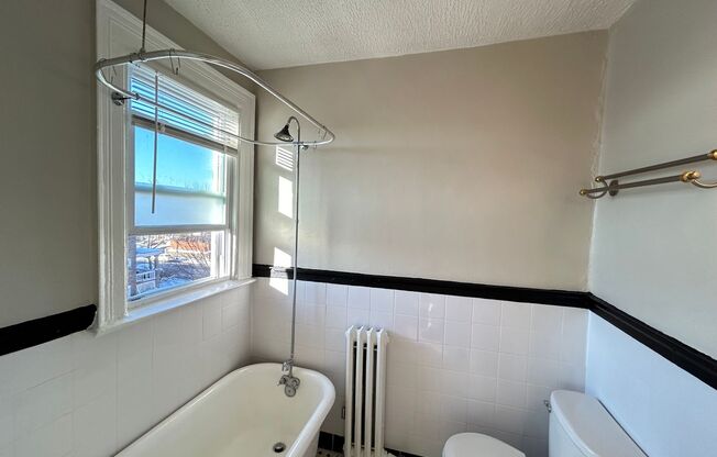 Studio, 1 bath, 310 sqft, $1,250, Unit 301