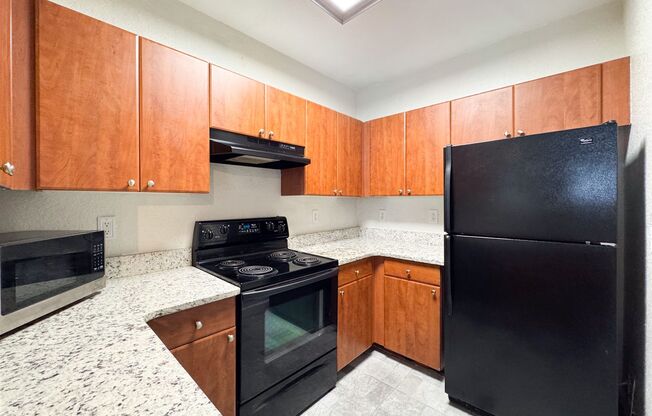 Beautifully Updated One Bedroom in Downtown Orlando