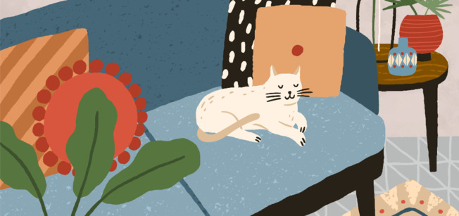 How to Cat-Proof Your Apartment