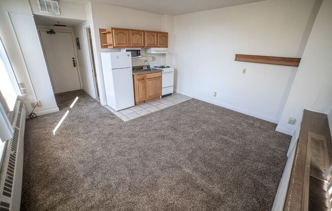 Studio, 1 bath, 245 sqft, $500, Unit 320