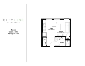 Studio, 1 bath, 320 sqft, $1,119