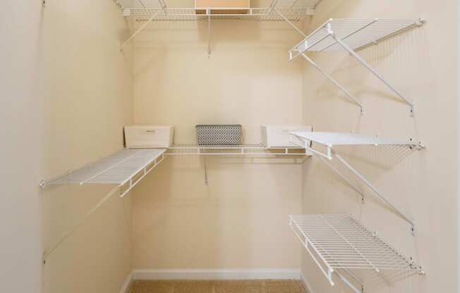 Expansive Walk In Closets at Abberly Woods Apartment Homes, Charlotte, 28216