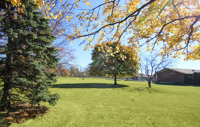 Green Spaces With Mature Trees at Lansing Riverwood, LLC, Illinois, 60438