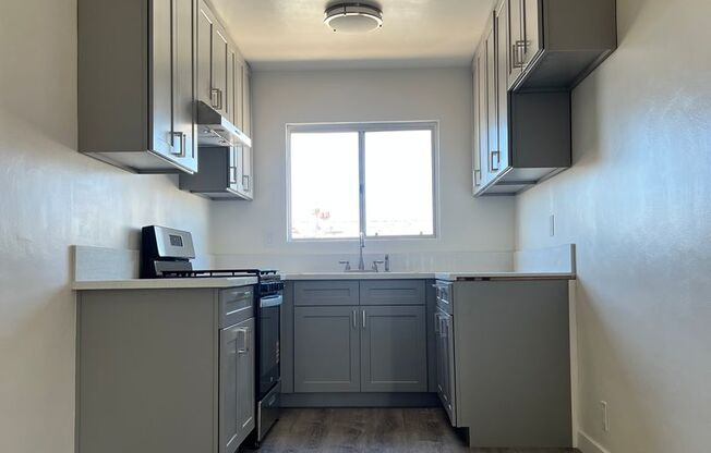 1 Bedroom Renovated Melrose Hill Apartment - $1900