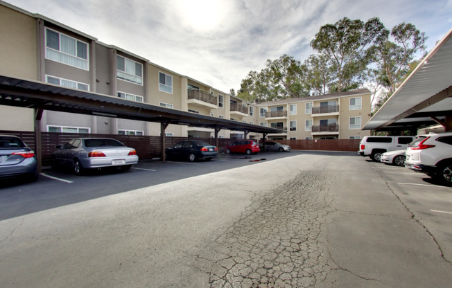 1 bed, 1 bath, 675 sqft, $1,895, Unit 314