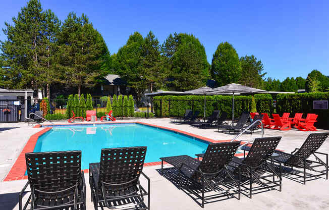 Kirkland WA Apartments - Sparkling Swimming Pool Surrounded By Lounge Chairs and Umbrellas