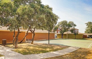 Basketball Court