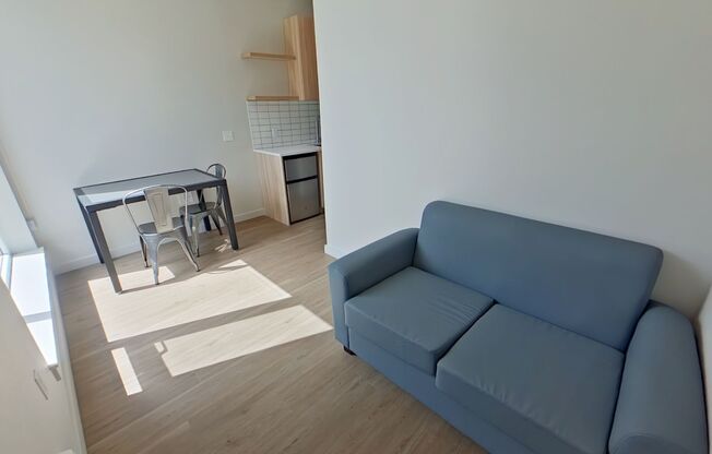 Studio, 1 bath, 314 sqft, $1,250, Unit 211