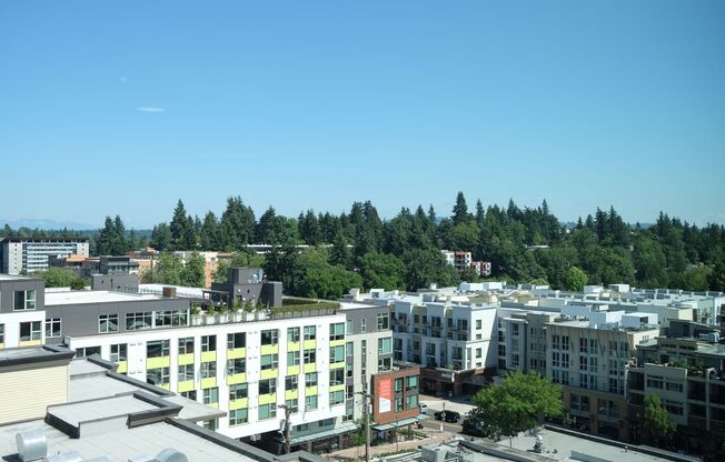 1 bed, 1 bath, 556 sqft, $2,699, Unit 517