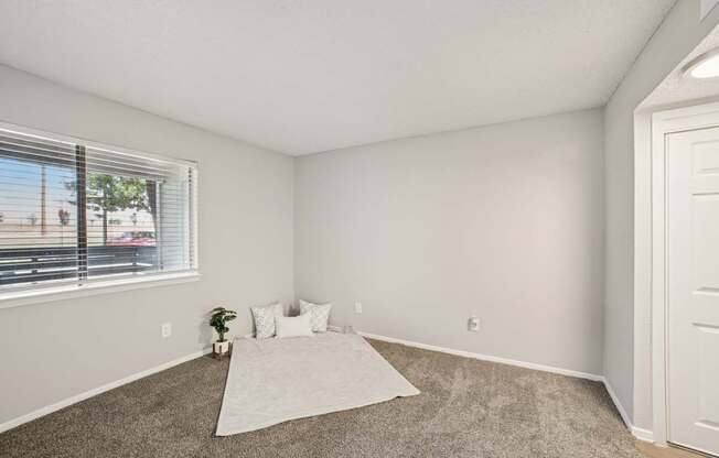 A room with a carpet, a rug, and a window with blinds.