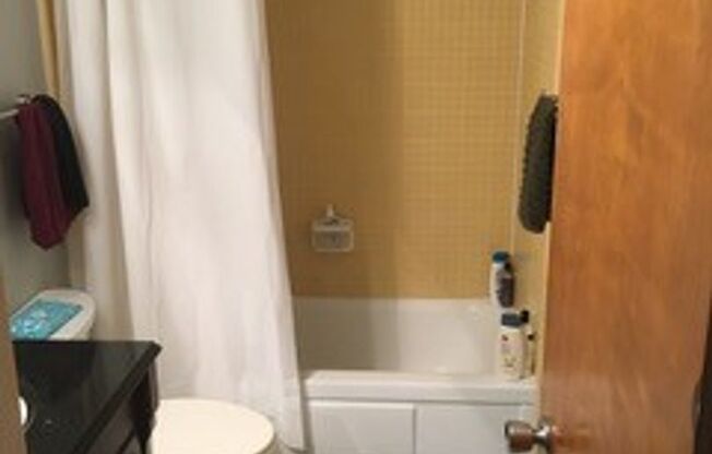 Studio, 1 bath, $1,750, Unit 15