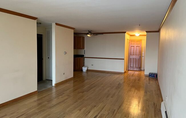 1 bed, 1 bath, $1,250