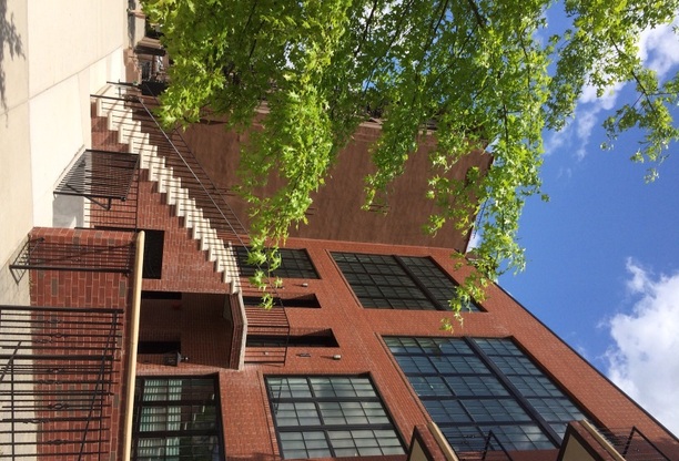 113 KANE ST