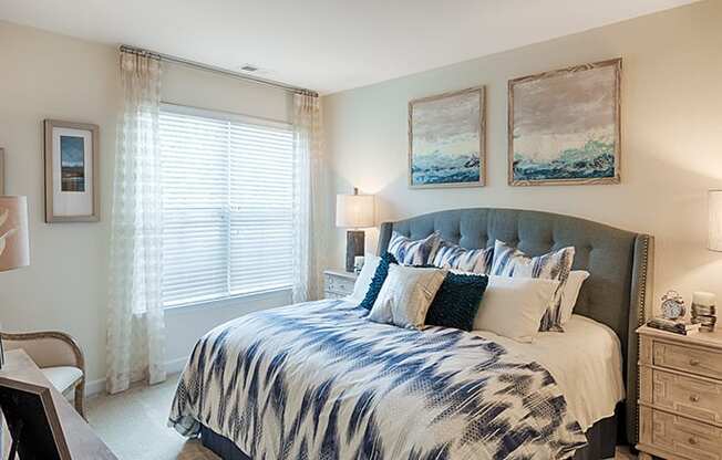 Bedroom with window; carpet