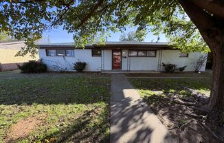 Modern Flair Living In Bayless Atkins Neighborhood