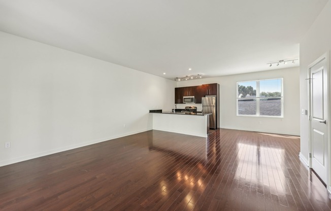 Kitchen + Living Area