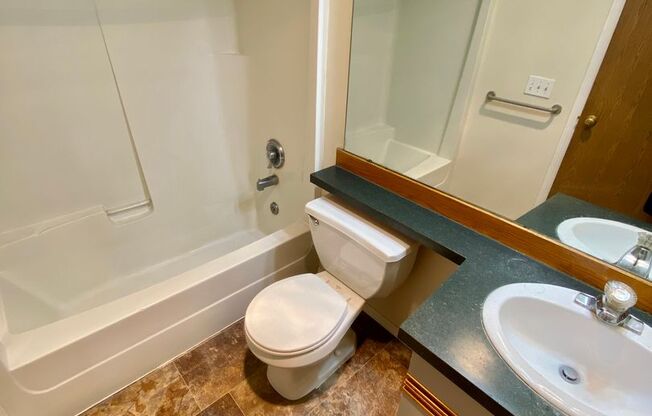 1 bed, 1 bath, 500 sqft, $1,495, Unit 215