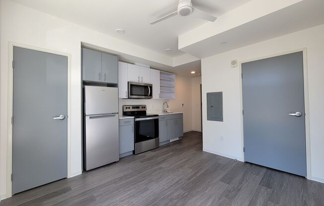 Studio, 1 bath, 238 sqft, $1,390, Unit 505