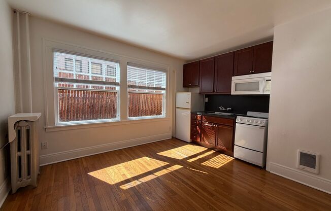 Studio, 1 bath, 308 sqft, $1,099, Unit 16