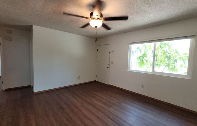 Renovated 2 Bed / 1 Bath