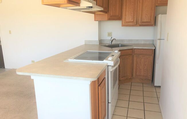 1 bed, 1 bath, $1,995