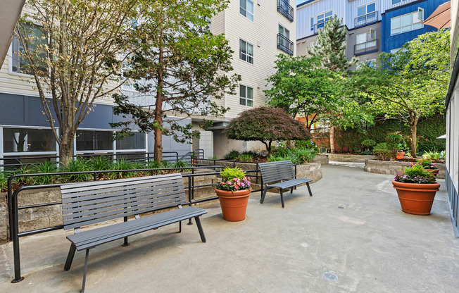 Outdoor Resident Seating Area with Benches and Trees at Promenade at the Park Apartment Homes, WA 98125