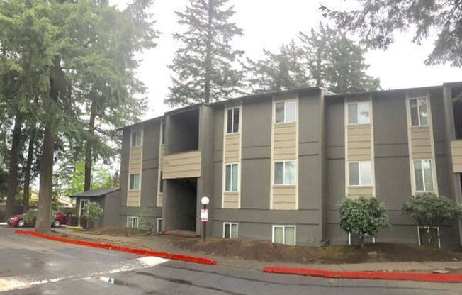 1 bed, 1 bath, 525 sqft, $1,195, Unit 15