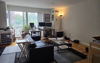 Studio, 1 bath, 520 sqft, $2,600, Unit 211