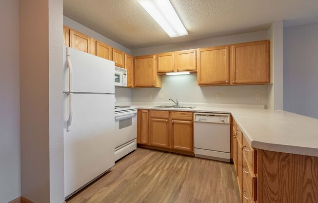 1 bed, 1 bath, 918 sqft, $1,445, Unit 229