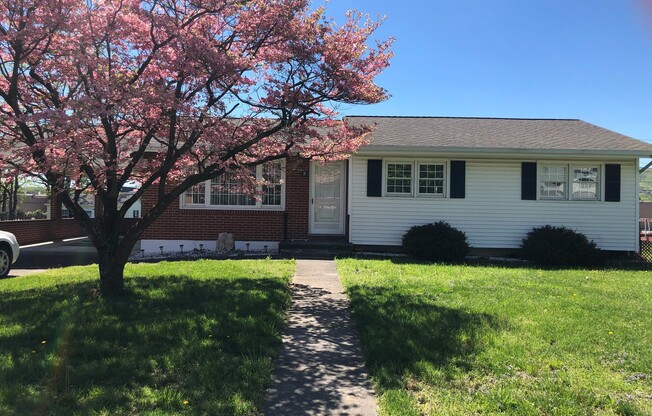 3 Bedroom 1.5 Bath Single Family Home in Salem