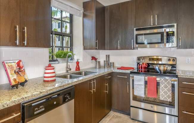 Modern kitchen with granite countertops at Palm Ranch Apartments in Davie, FL