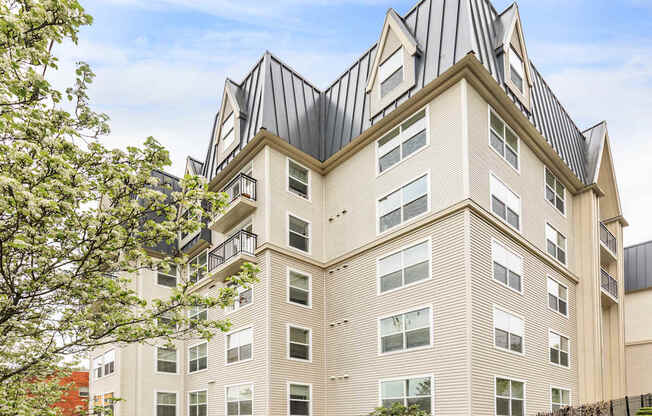 Clearwater and Star Apartments